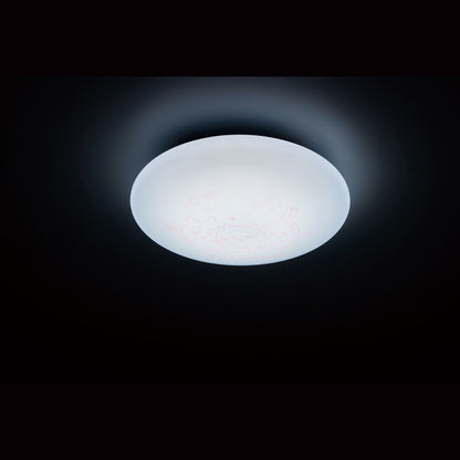 치이카와 실링 라이트