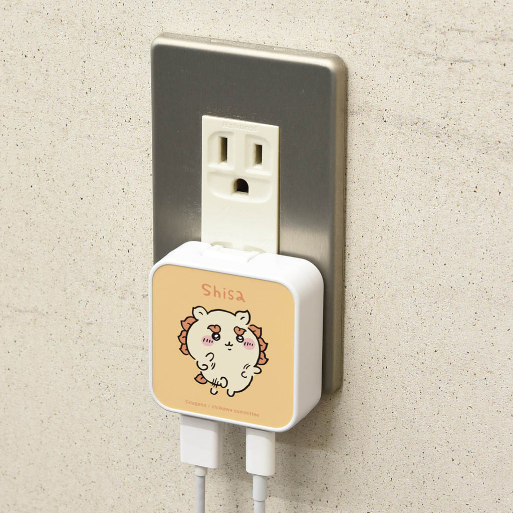 Chiikawa USB/USB Type-C AC adapter (Shisa)