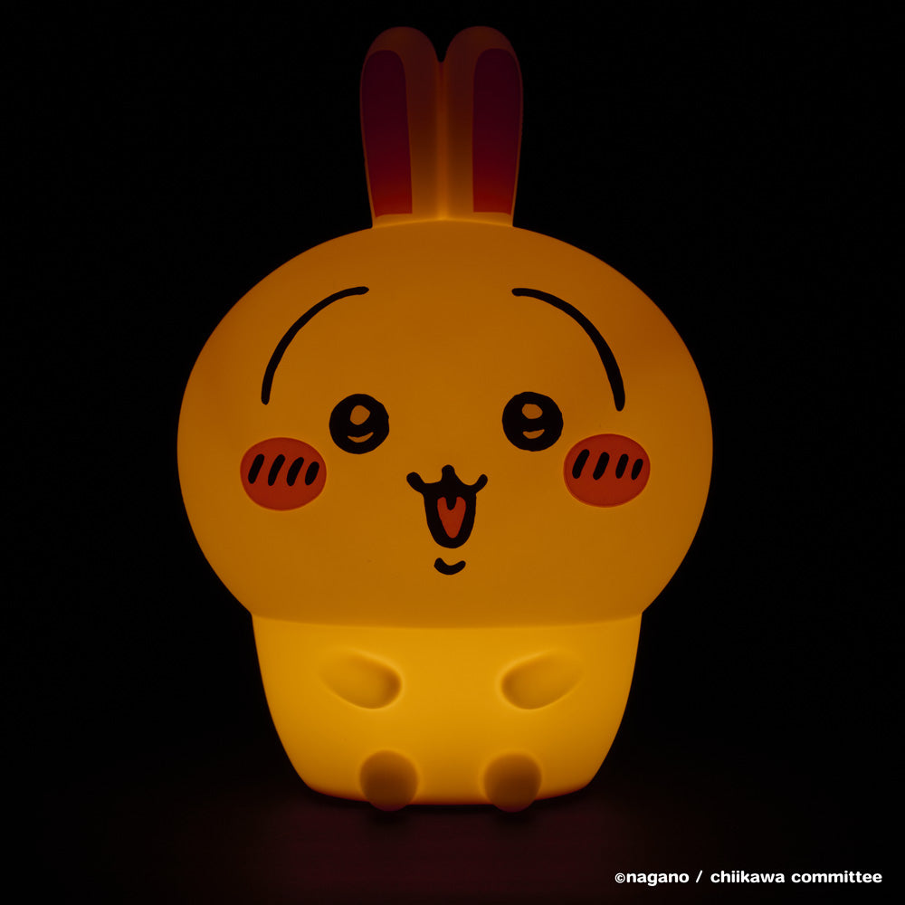 치이카와 오이테미루 라이트 (우사기)