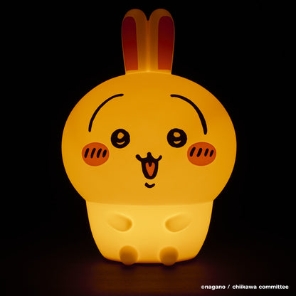 치이카와 오이테미루 라이트 (우사기)