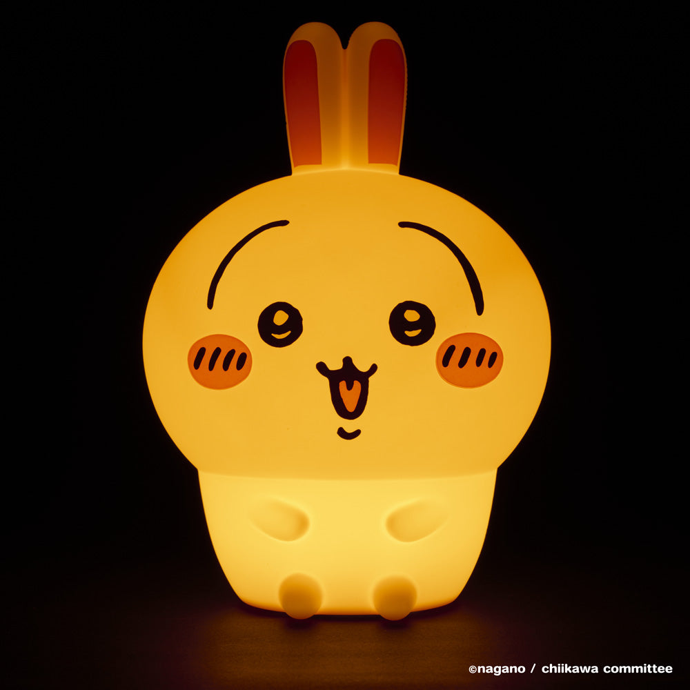 치이카와 오이테미루 라이트 (우사기)