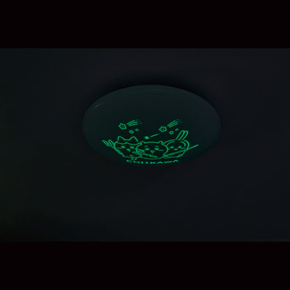 치이카와 실링 라이트