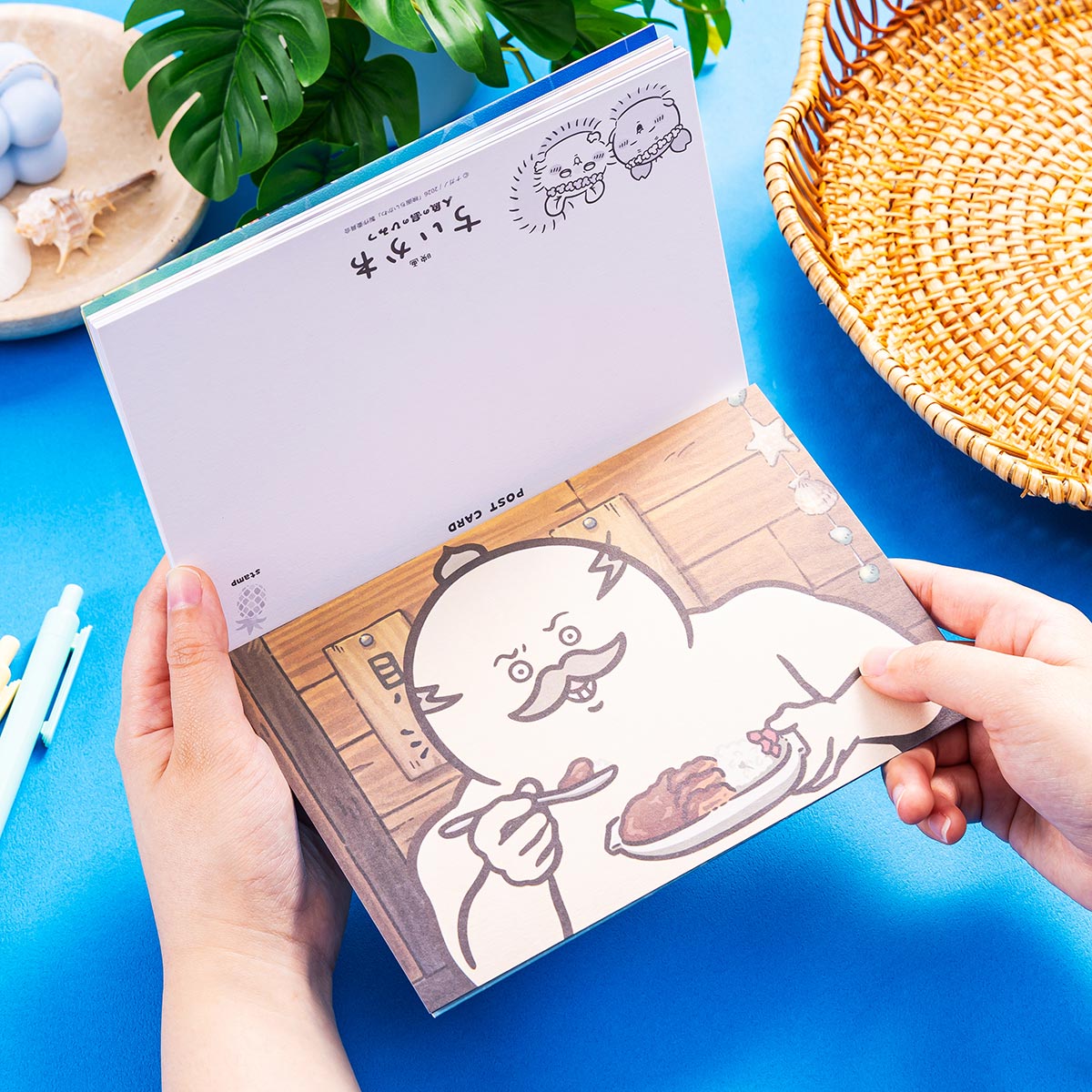吉伊卡哇 电影《吉伊卡哇》 明信片套装 (16张入)
