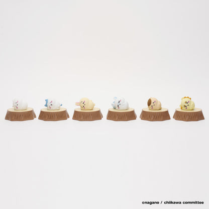 치이카와 오이테미테 라이트 (하치와레)