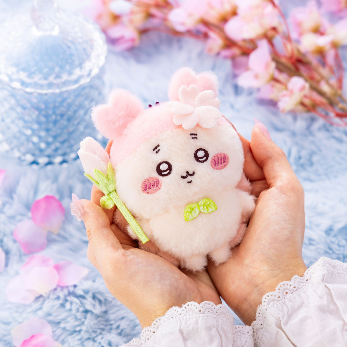 치이카와 벚꽃 요정 마스코트