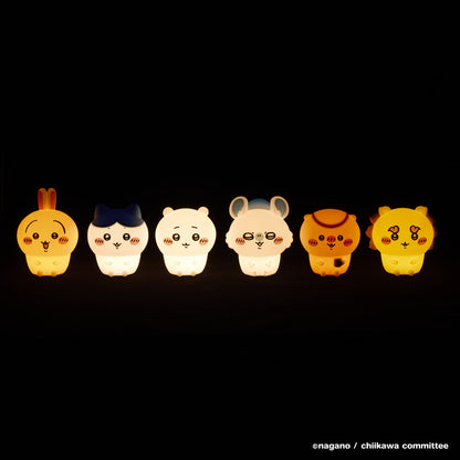 치이카와 오이테미루 라이트 (우사기)