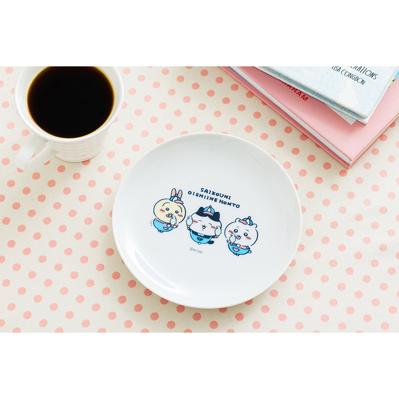 【新品.未使用】☆ちいかわワクワクゆうえんち　パスタ皿&中皿　2点セット☆ 新品.未使用】☆ちいかわワクワクゆうえんち パスタ皿☆ 2025年