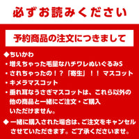 【予約】ちいかわ  増えちゃった毛量なハチワレぬいぐるみS【2023年4月中旬より順次発送予定】【通常商品と同時購入・配送希望日指定不可】【キャンペーン対象外】